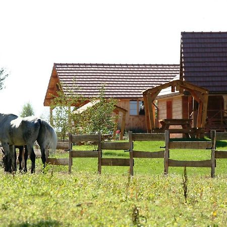 Le Hameau Des Grilles Villa Saint-Fargeau  Ngoại thất bức ảnh