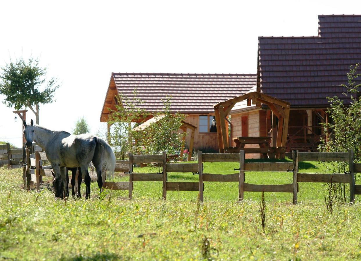 Le Hameau Des Grilles Villa Saint-Fargeau  Ngoại thất bức ảnh